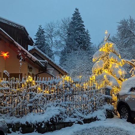 Gemuetliche Waldrandlage In Badenweiler Sehringen Ferienwohnung Екстер'єр фото