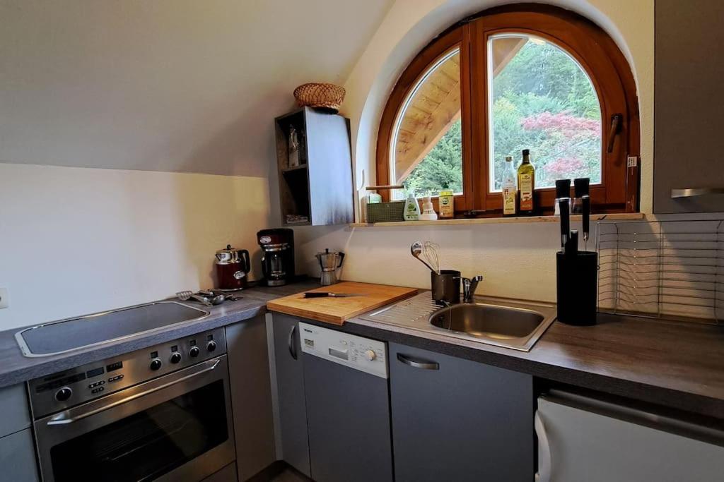 Gemuetliche Waldrandlage In Badenweiler Sehringen Ferienwohnung Екстер'єр фото