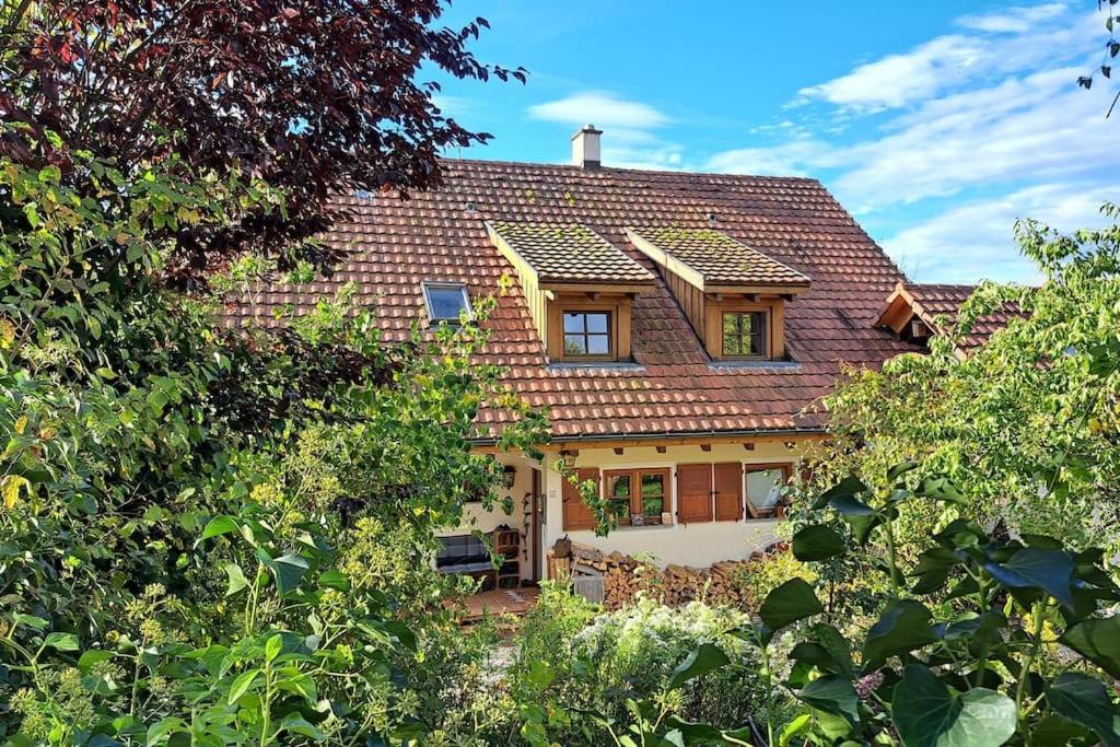 Gemuetliche Waldrandlage In Badenweiler Sehringen Ferienwohnung Екстер'єр фото