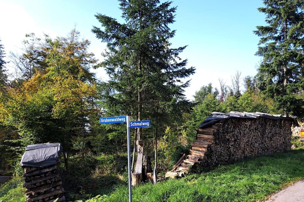 Gemuetliche Waldrandlage In Badenweiler Sehringen Ferienwohnung Екстер'єр фото