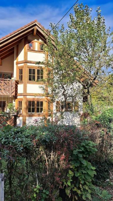 Gemuetliche Waldrandlage In Badenweiler Sehringen Ferienwohnung Екстер'єр фото