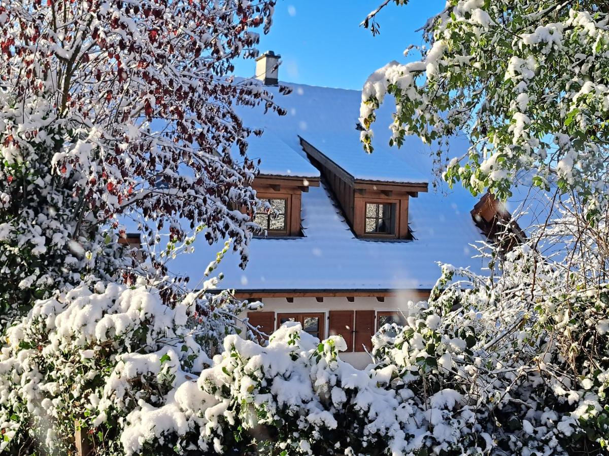 Gemuetliche Waldrandlage In Badenweiler Sehringen Ferienwohnung Екстер'єр фото