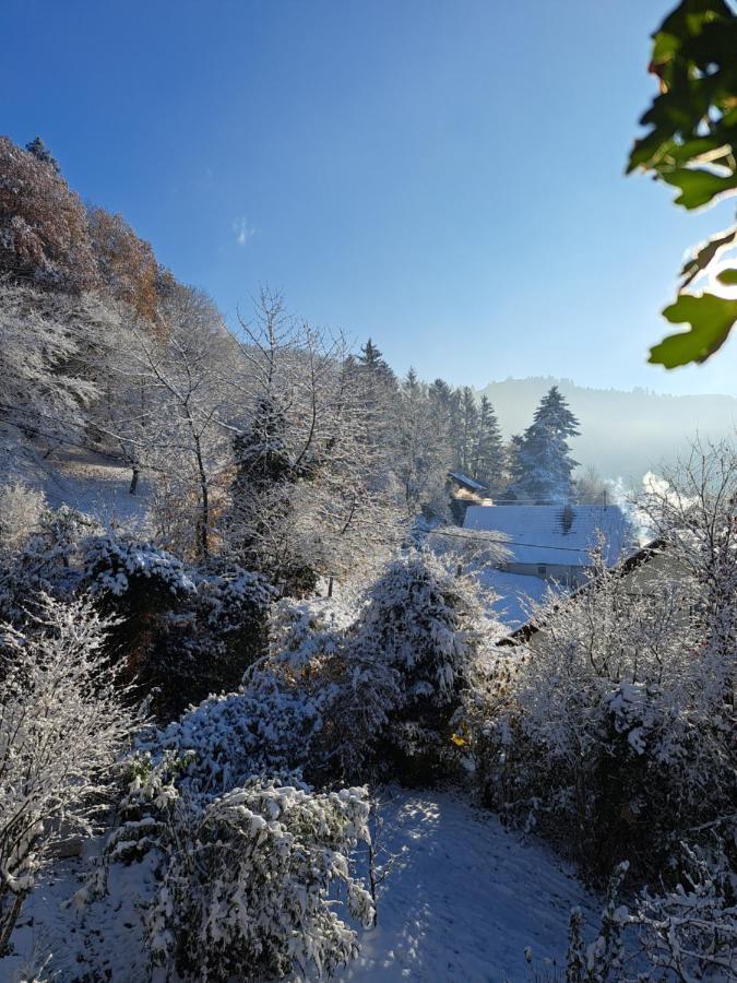 Gemuetliche Waldrandlage In Badenweiler Sehringen Ferienwohnung Екстер'єр фото