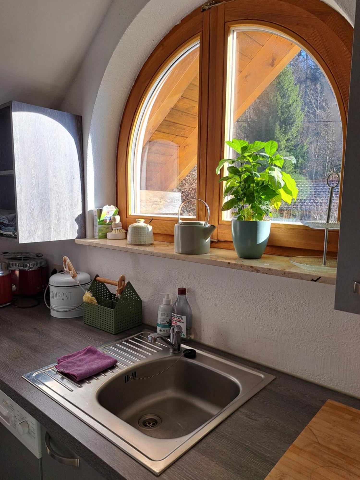Gemuetliche Waldrandlage In Badenweiler Sehringen Ferienwohnung Екстер'єр фото